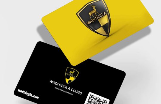 smart_card_custome_3a